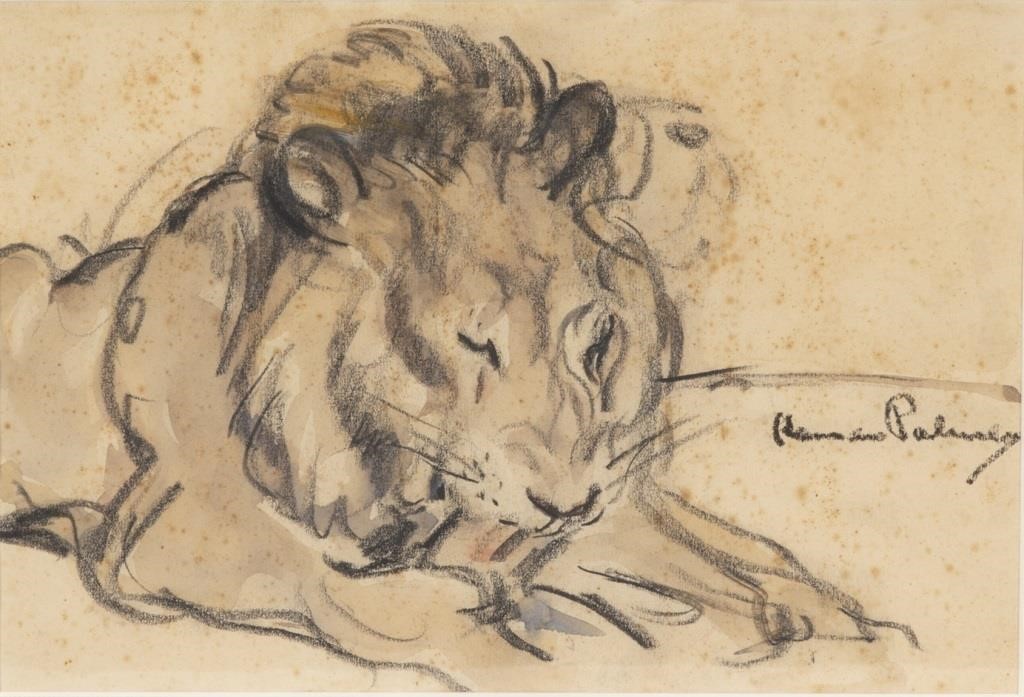 Appraisal: Two Lion Drawings Female by in signed Herman Palmer lower