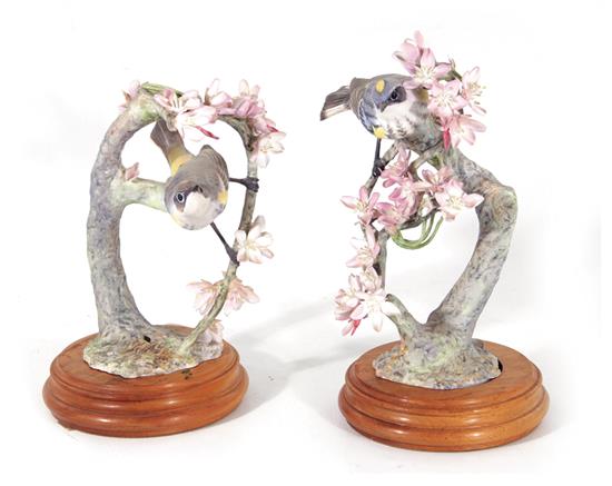 Appraisal: Pair Dorothy Doughty Myrtle Warblers Royal Worcester circa with crate