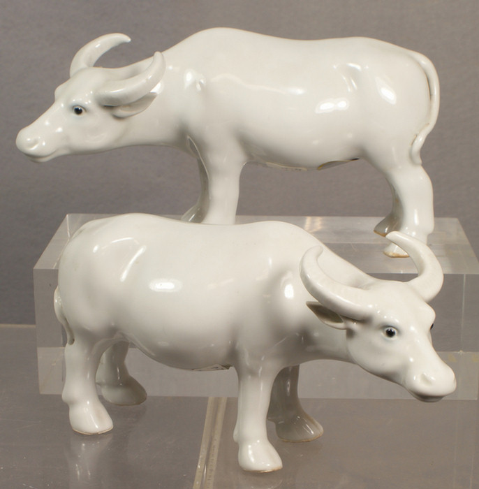 Appraisal: Chinese export porcelain Blanc de Chine pr of water buffalo