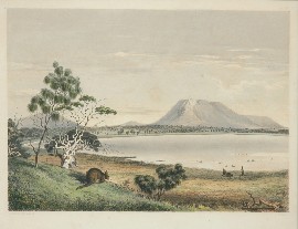 Appraisal: George French Angas - Waungerri Lake and the Marble Range