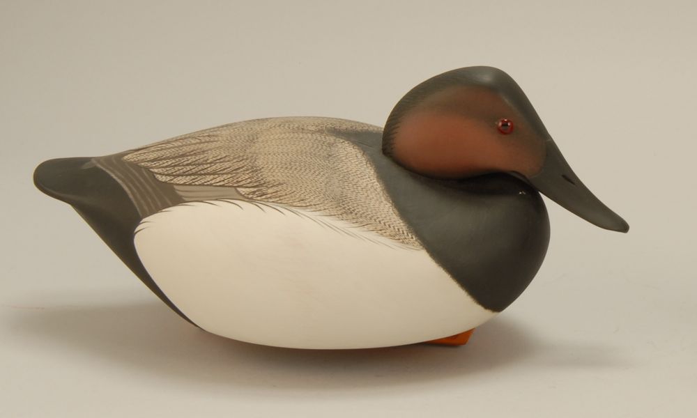 Appraisal: CANVASBACK DRAKE DECOY By Marty Collins of Wareham Massachusetts Branded