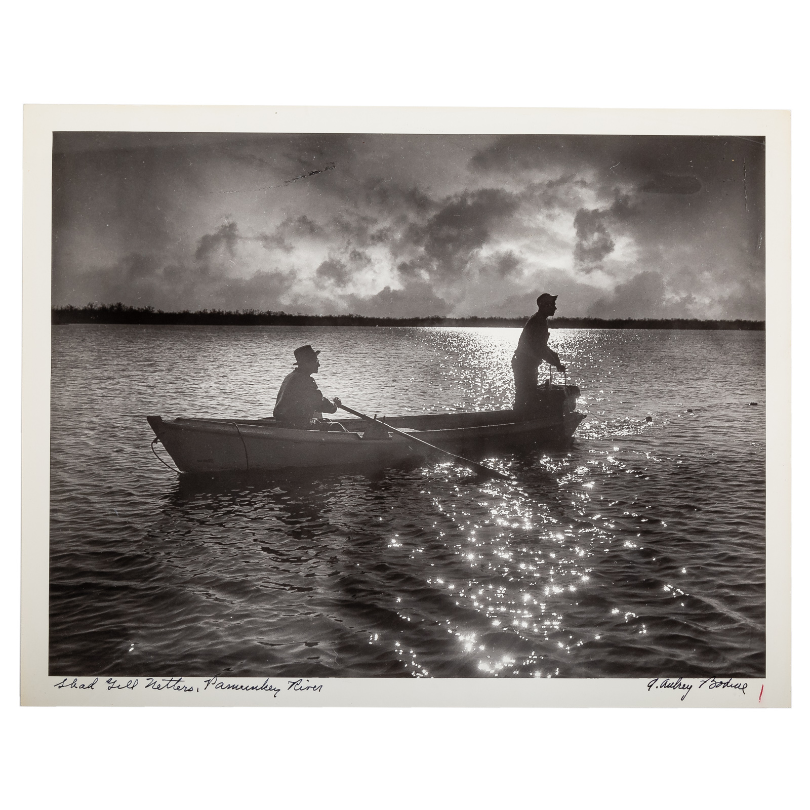 Appraisal: A AUBREY BODINE SHAD GILL NETTERS PHOTOGRAPH American - Gelatin