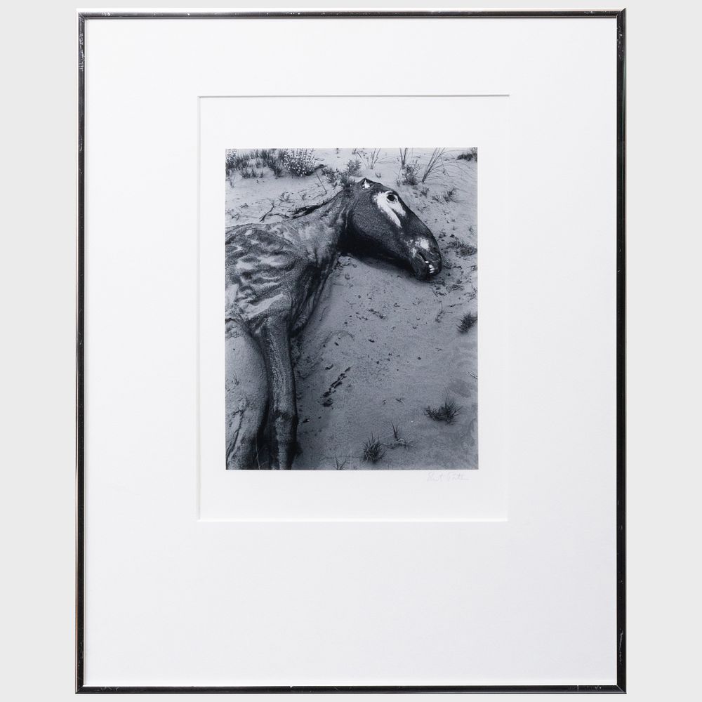 Appraisal: Eliot Porter - Untitled Gelatin silver print signed on the