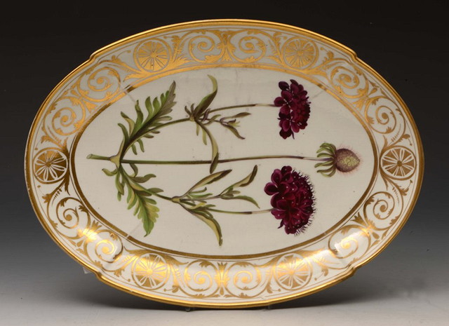 Appraisal: AN OVAL ENGLISH PORCELAIN BOTANICAL PLATE probably Derby circa inscribed