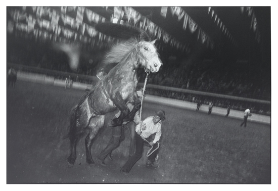 Appraisal: WINOGRAND GARRY - Select group of photographs comprising from Women