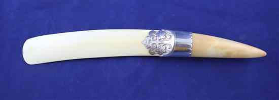 Appraisal: A Victorian silver mounted ivory tusk page turner the mount