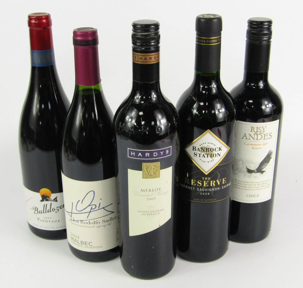 Appraisal: Five bottles of New World red wine comprising Rey de