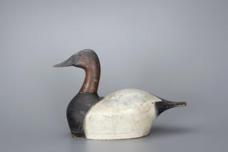 Appraisal: High-Head Canvasback Drake Joseph Sieger - Tustin WI c in