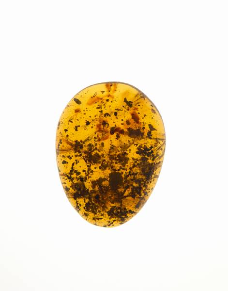 Appraisal: Ant Swarm in Amber Cabochon Azteca sp Oligocene La Toca