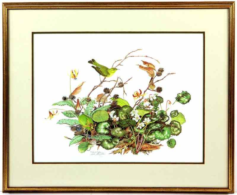 Appraisal: Signed Print by Sallie Middletontitled ''Warbler in Spring'' published by