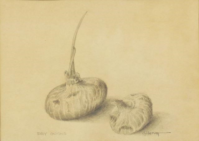 Appraisal: Framed pencil drawing on paper Dry Onions signed lower right