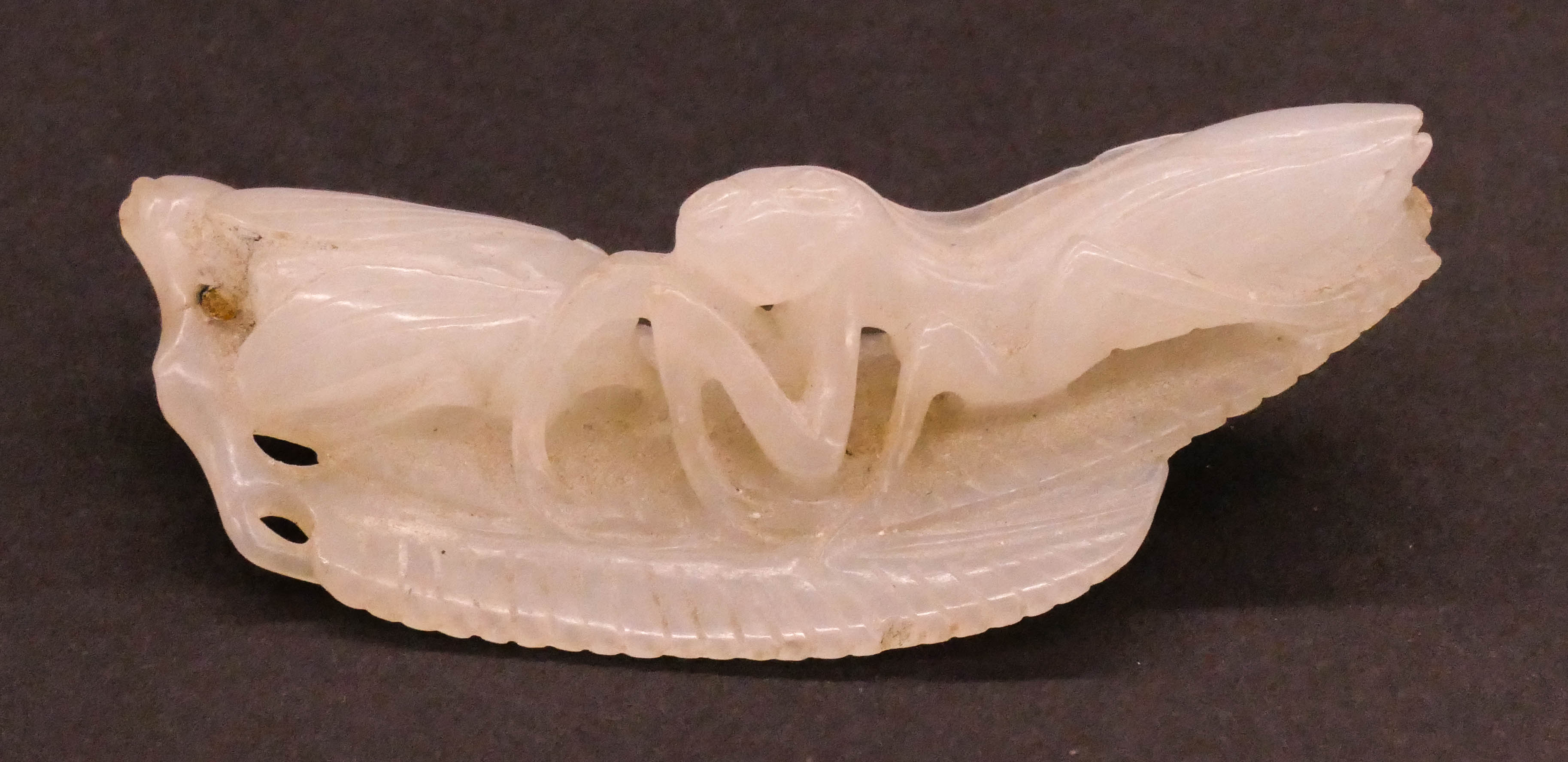 Appraisal: Chinese Qing White Jade Insect Pendant '' A translucent white