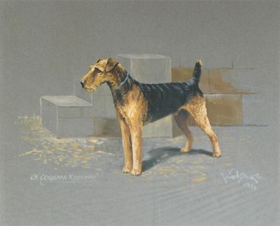 Appraisal: Rueben Ward Binks - Champion Lakeland Terrier Cragsman Kingsway Signed