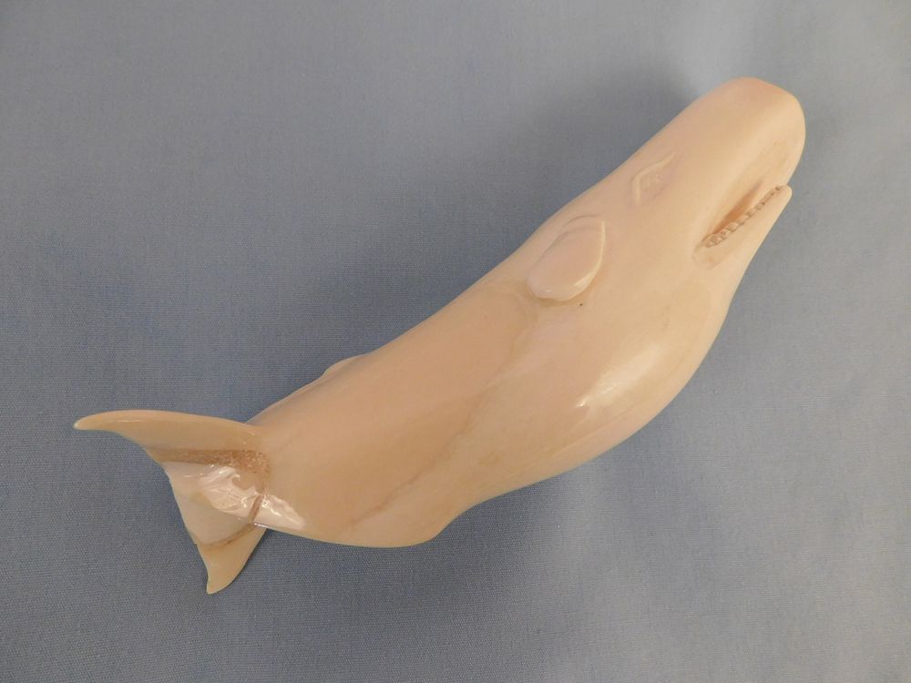 Appraisal: CARVED WHALE TOOTH - SPERM WHALE Fine carved whale tooth