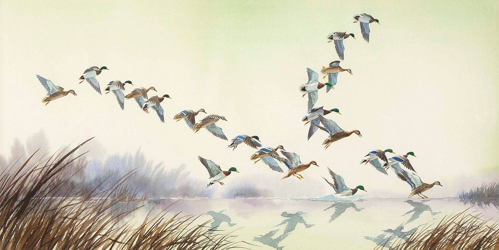 Appraisal: Larry Toschik November Dawn Mallards Larry Toschik - November Dawn