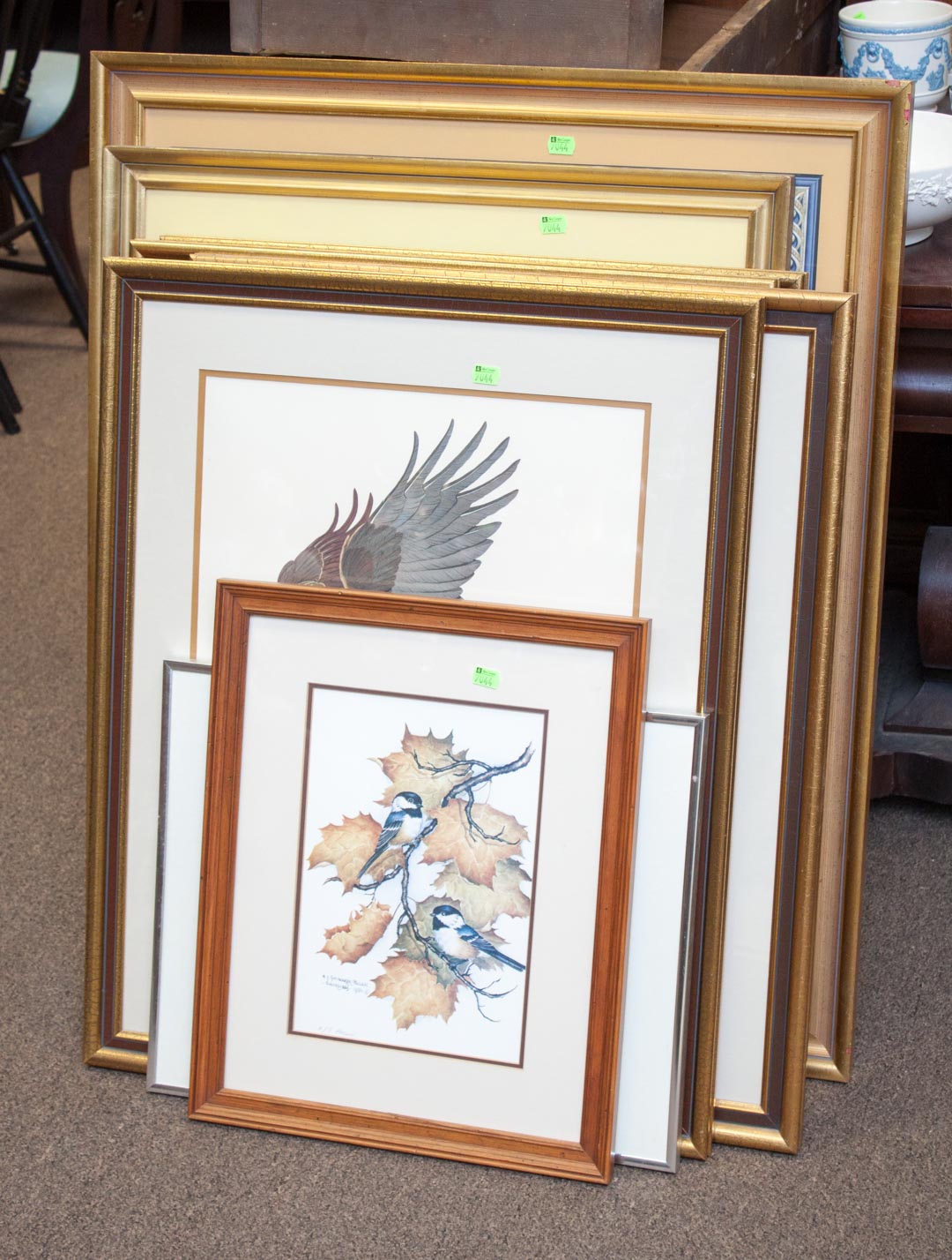 Appraisal: Seven framed bird prints and a photo