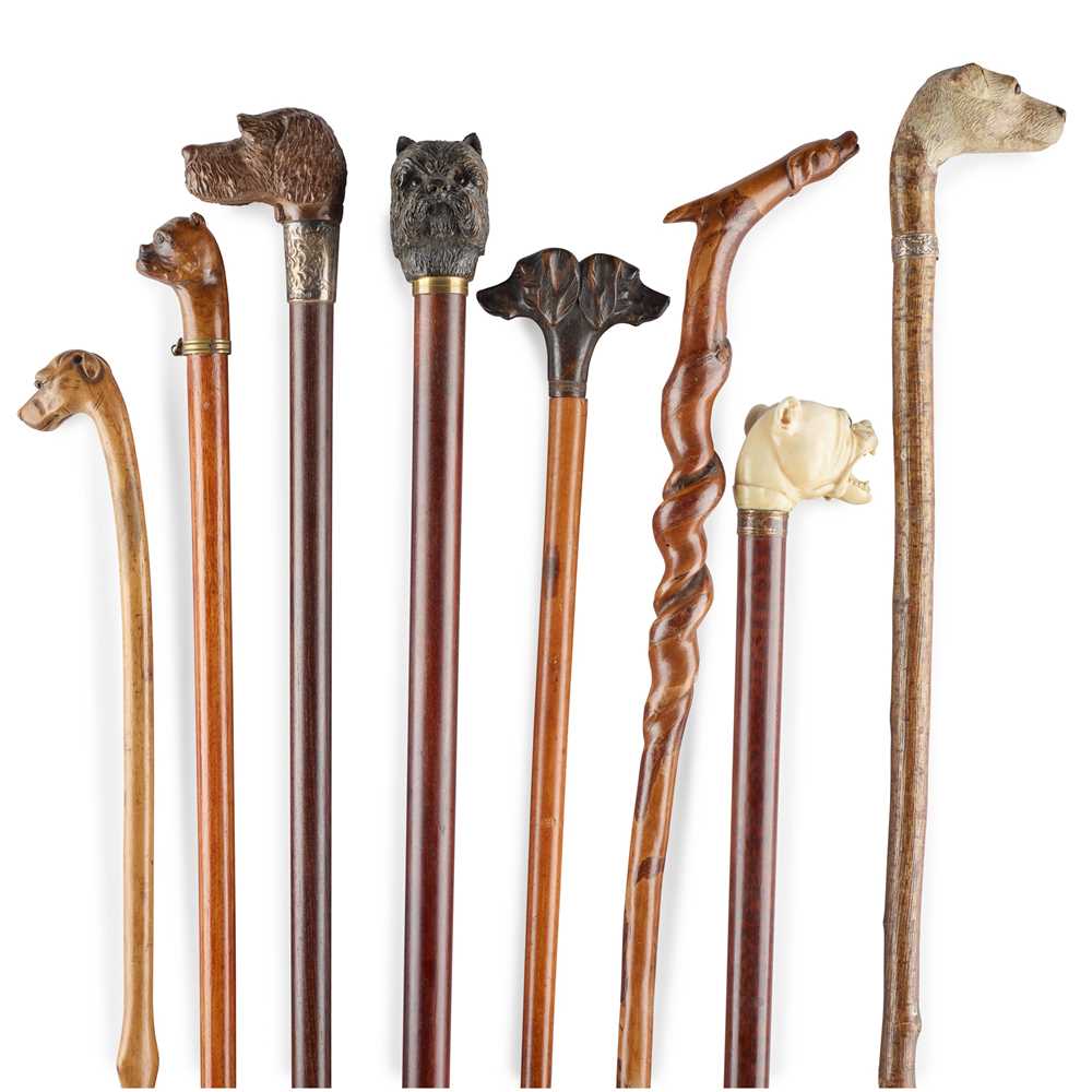 Appraisal: Y GROUP OF EIGHT DOG HEAD WALKING STICKS TH CENTURY