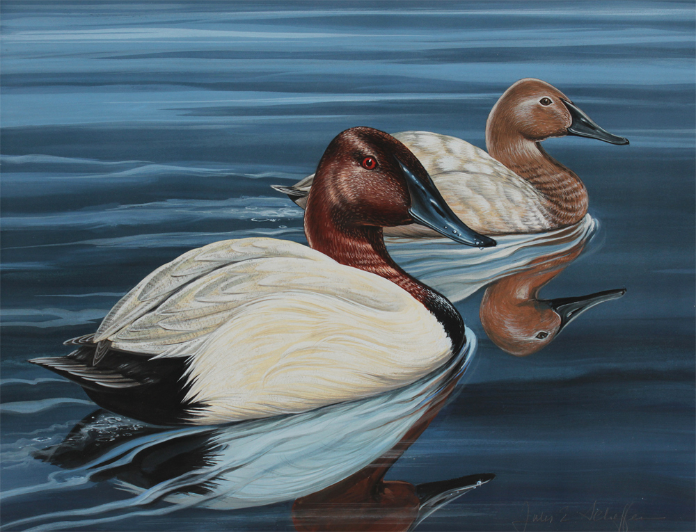 Appraisal: SCHEFFER Jules E American - Canvasback Ducks on the Water