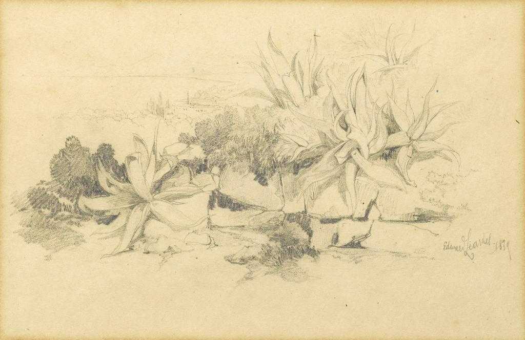 Appraisal: EDWARD LEAR - STUDY OF PLANTS AND ROCKS AN ITALIAN