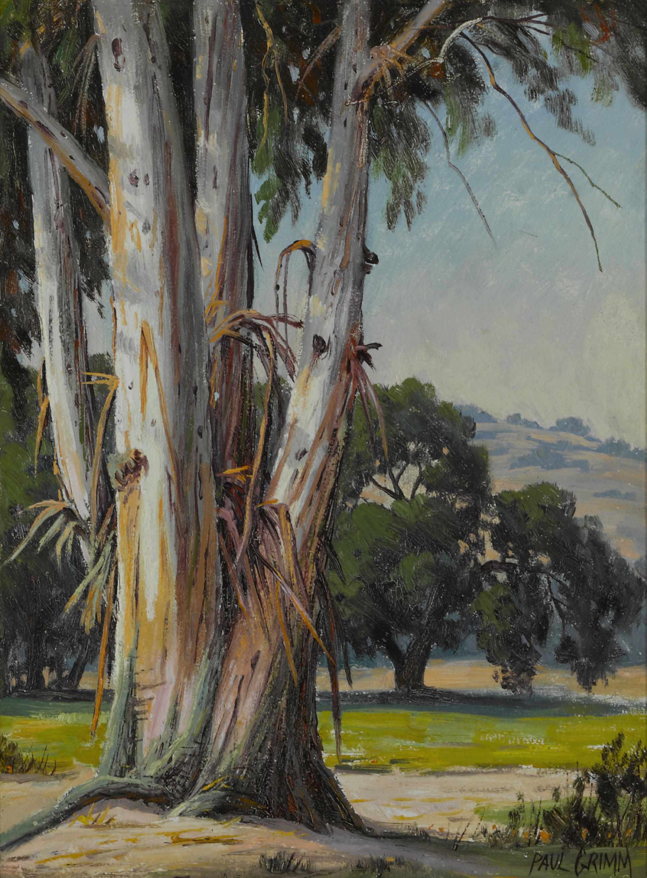 Appraisal: Paul A Grimm American - Eucalyptus Griffith park signed 'Paul