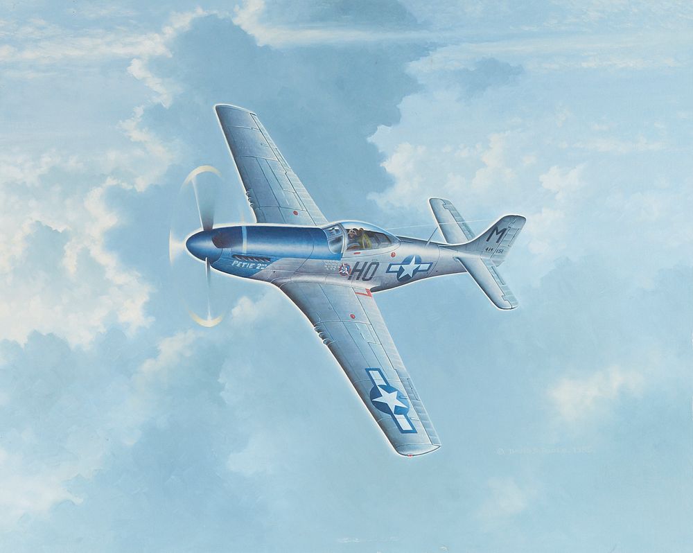 Appraisal: David Poole USA WWII Fighter Plane Oil on Board David