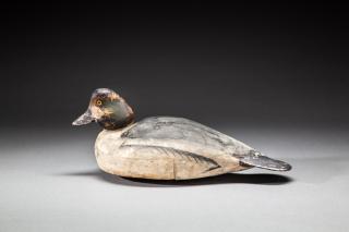 Appraisal: Paddle Tail Goldeneye by The Ward Brothers Lemuel T Paddle