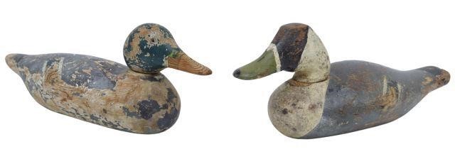 Appraisal: lot of Painted wood duck decoys one lacking eye largest