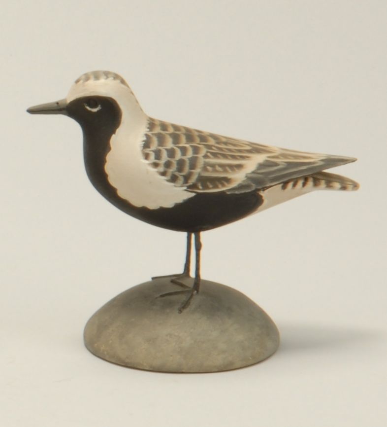 Appraisal: MINIATURE BLACK-BELLIED PLOVER By James Lapham of Dennisport Massachusetts Mounted