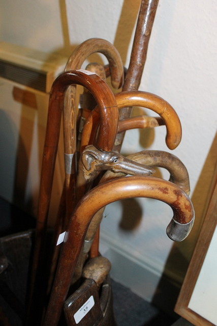 Appraisal: A COLLECTION OF VARIOUS WALKING STICKS and canes including a