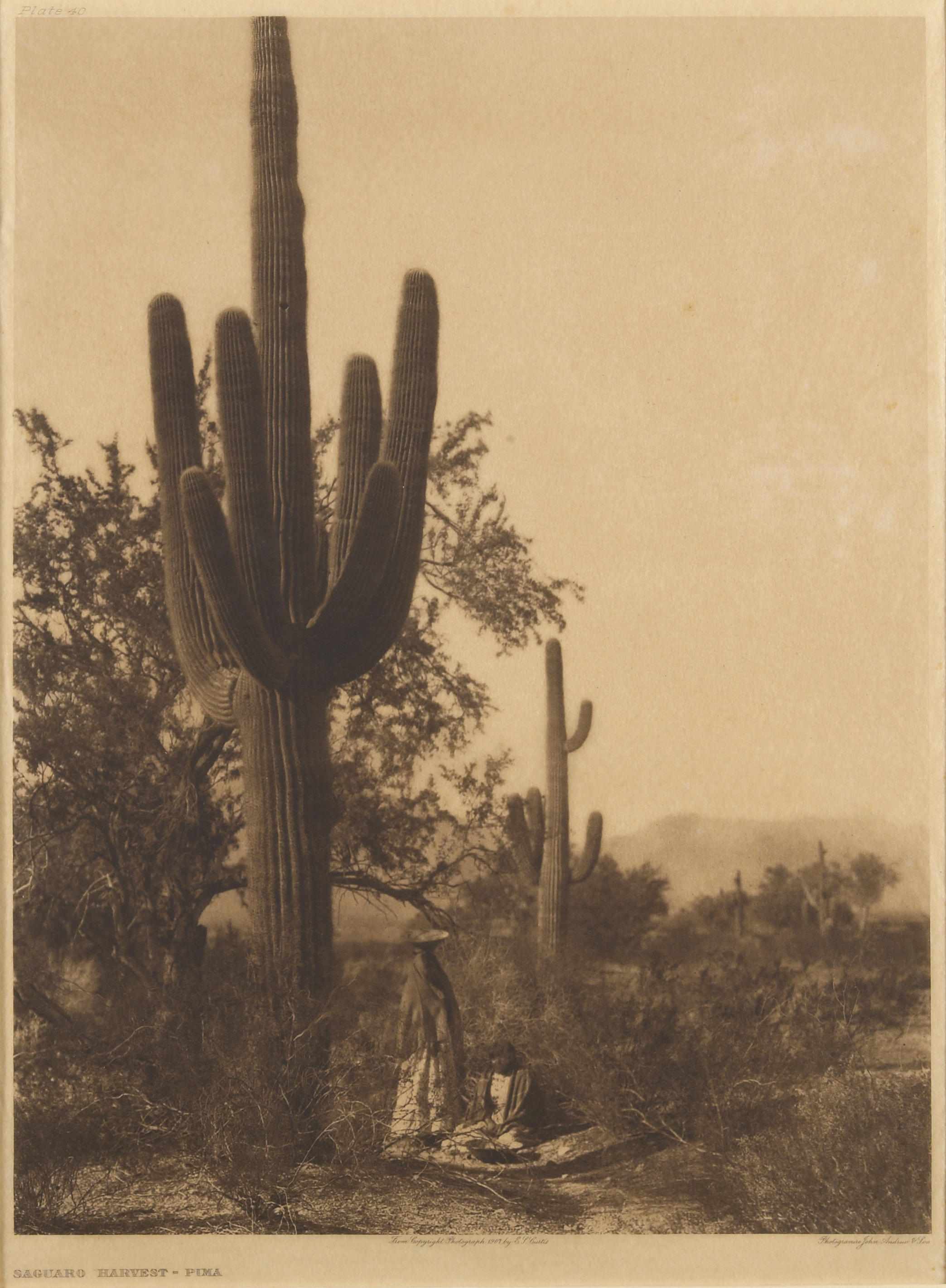 Appraisal: Edward S Curtis American - Selected Images from The North