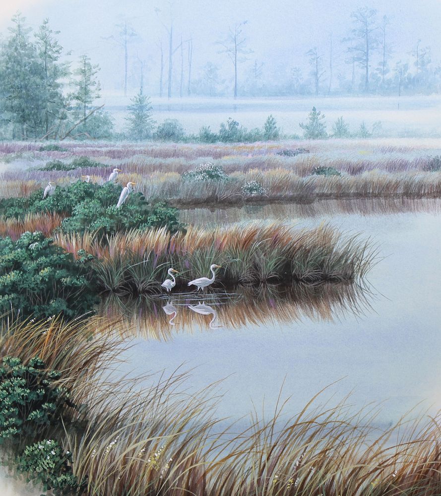 Appraisal: Don Balke B The Wetlands Don Balke North Carolina B