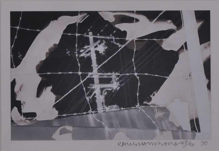 Appraisal: ROBERT RAUSCHENBERG - INDOMITABLE SPIRIT Polaroid print x in signed