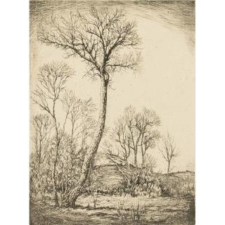 Appraisal: Lyman Byxbe Etching Framed landscape etching Wildwood by Lyman Byxbe