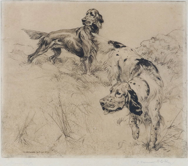 Appraisal: GEORGE VERNON STOKES - Pointers in a landscape etching pencil