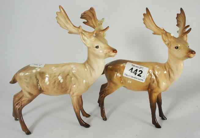 Appraisal: Beswick Stag chip to one antler and Stag one side