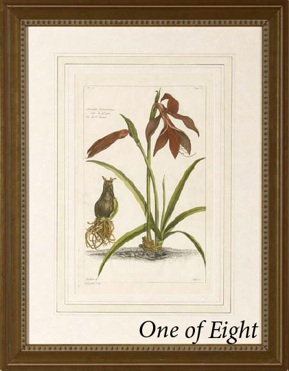 Appraisal: French School Fourth Quarter th Century Exotic Tropical Plant Studies