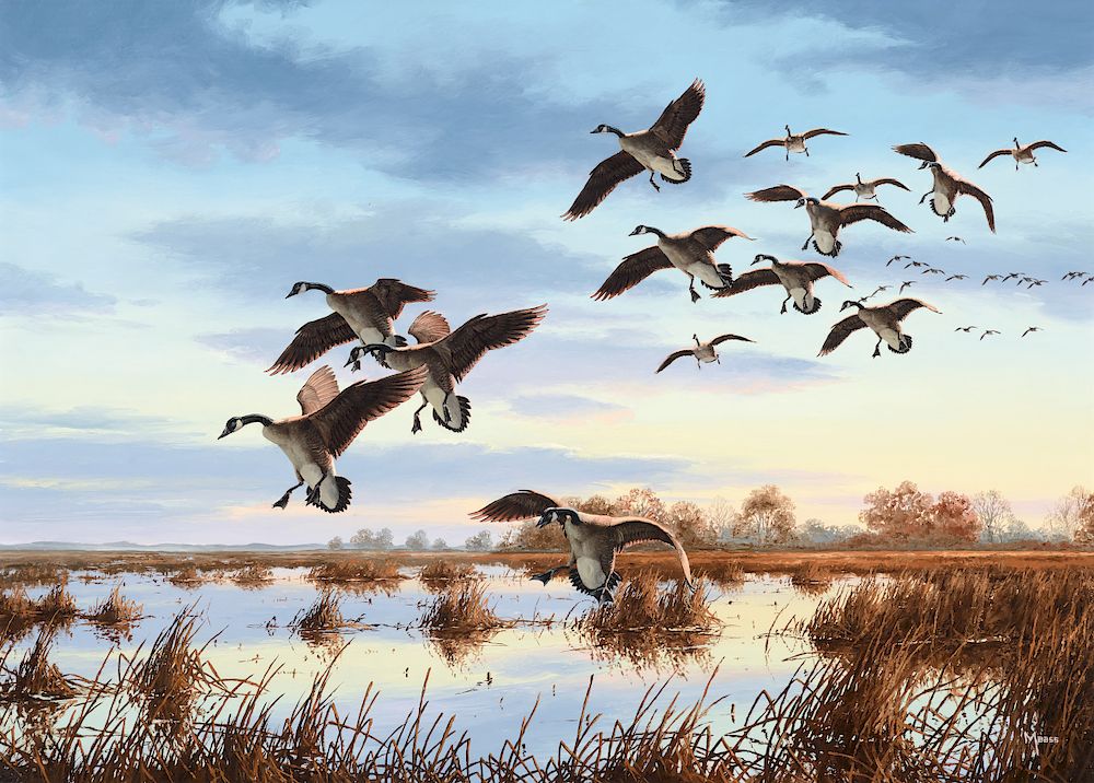 Appraisal: David Maass b Quiet Waters Canada Geese Exclusive on Bidsquare