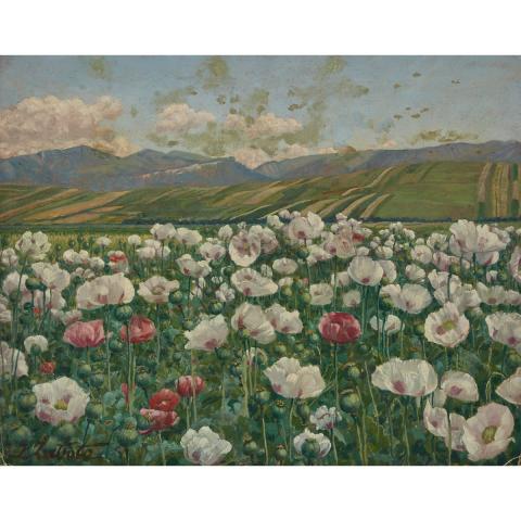 Appraisal: Ivan Zabota - POPPYFIELD Slovanian Oil on canvasboard signed lower