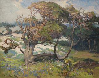 Appraisal: Franz A Bischoff ''Sand Dunes and Pines Monterey Coast Calif