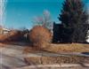 Appraisal: STEPHEN SHORE PETER BEARD JOEL MEYEROWITZ et alia A Portfolio