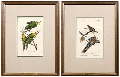 Appraisal: Two Audubon Royal Octavo prints Plate Passenger Pigeon and Plate