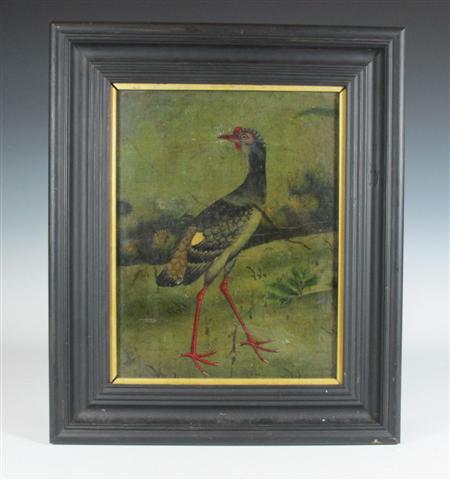 Appraisal: A th century school painting of a bird oil on