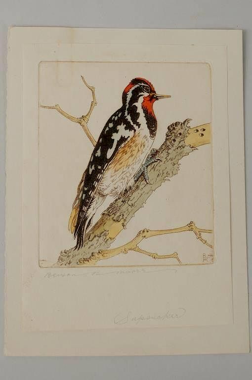 Appraisal: Benson Bond Moore Sapsucker Etching Benson Bond Moore American -