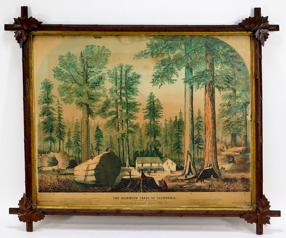 Appraisal: Times Steam Job Mammoth Trees of California Print United States