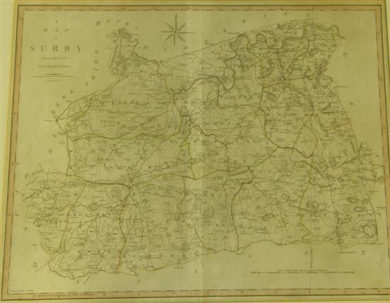 Appraisal: A Map of Surrey from the best authorities' by J