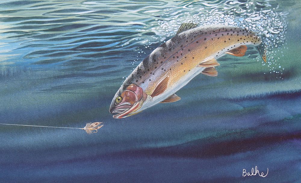 Appraisal: Don Balke B Cutthroat Trout Don Balke North Carolina B