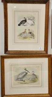 Appraisal: Eight piece lot to include four bird crayon plate lithographs