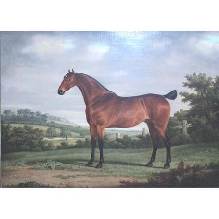 Appraisal: George Stevens Champion Racehorse Estimate -