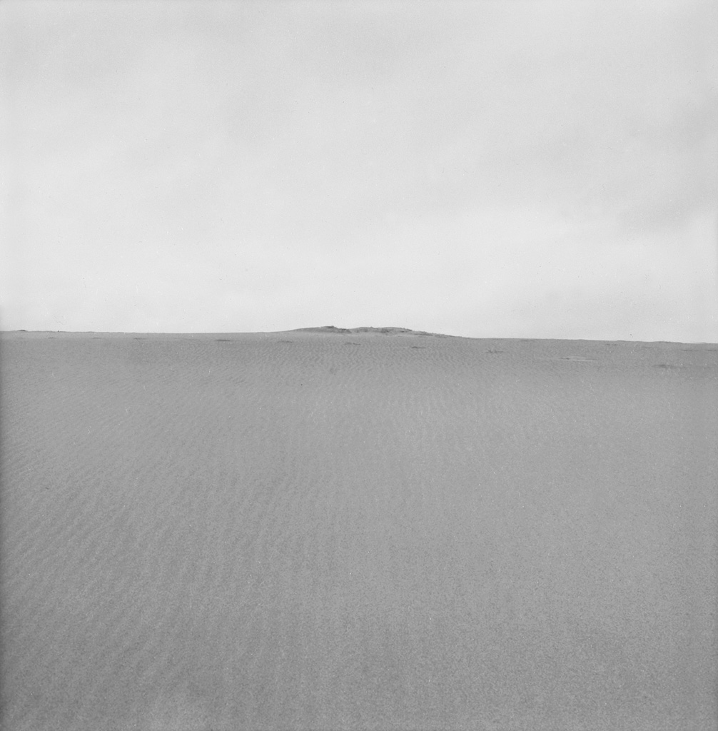 Appraisal: HARRY CALLAHAN - Cape Cod Silver print inches cm square