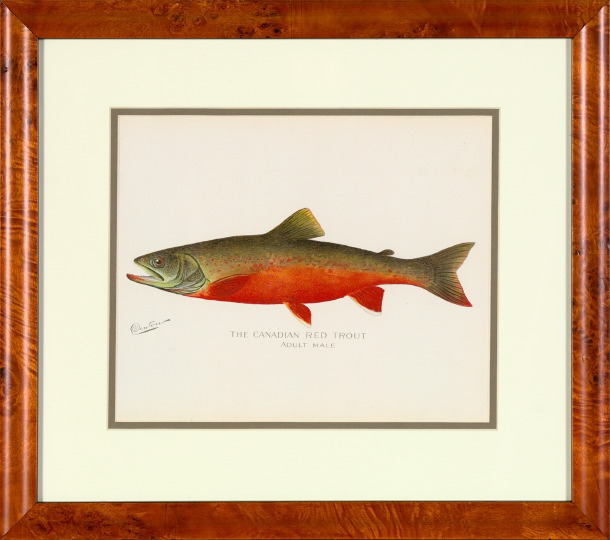 Appraisal: Sherman Foote Denton American - Salmon and Trout suite of